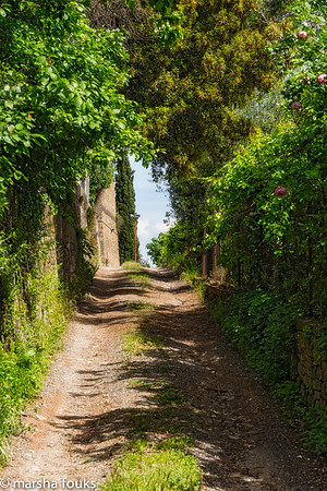 20130527_2013_may_italy_0046