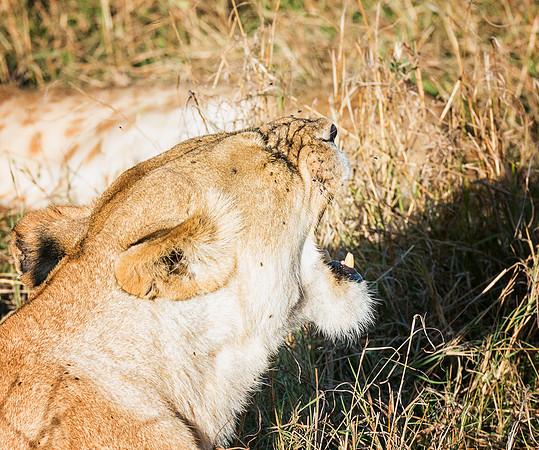 20130913_Kenya_0002-2