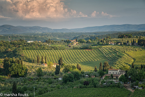 20130523_tuscany_0092-Edit-Edit