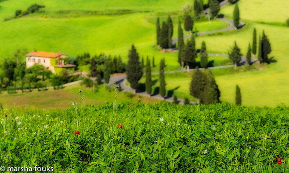 20130524_tuscany_0167-Edit-Edit