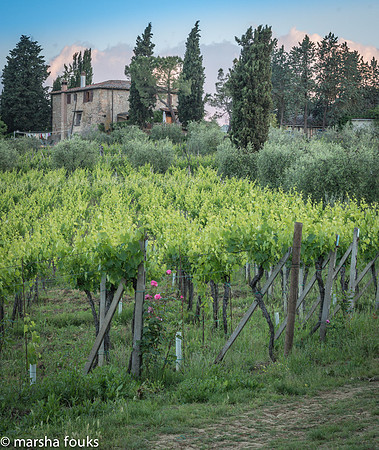 20130524_tuscany_0522