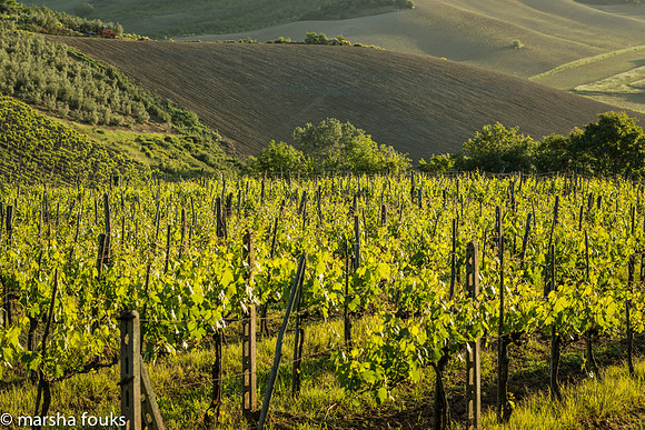 20130524_tuscany_0590-Edit