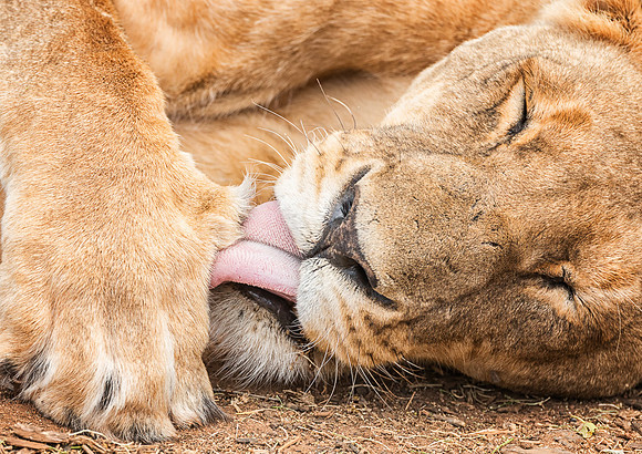 20130909_Kenya_0019-2