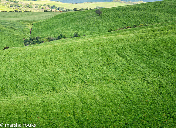 20130524_tuscany_0149-Edit-Edit