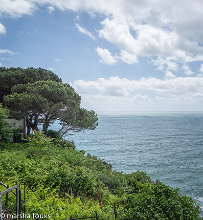 20130529_2013_may_italy_0018