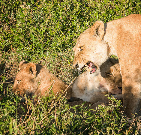 20130913_Kenya_0005-5