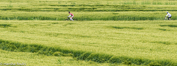 20130526_2013_may_italy_0004