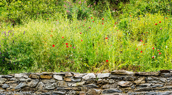 20130529_2013_may_italy_0011