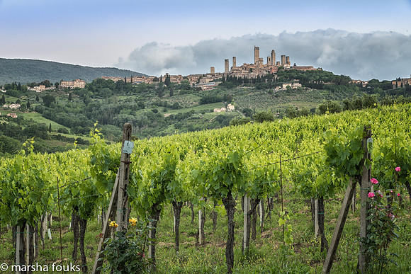 20130524_tuscany_0498-Edit-Edit