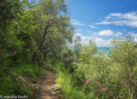 20130530_2013_may_italy_0014