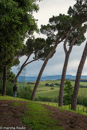 20130525_2013_may_italy_0022