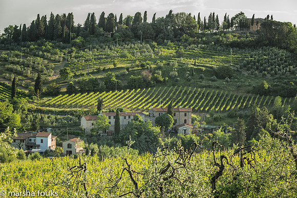 20130524_tuscany_0676-Edit-Edit