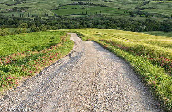 20130524_tuscany_0287-Edit