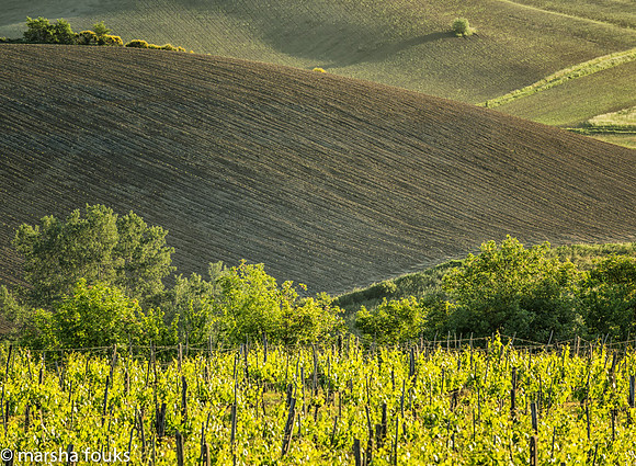 20130524_tuscany_0601-Edit-Edit