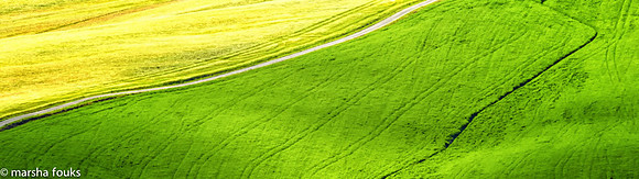 20130524_tuscany_0001-Edit-Edit-Edit-Edit