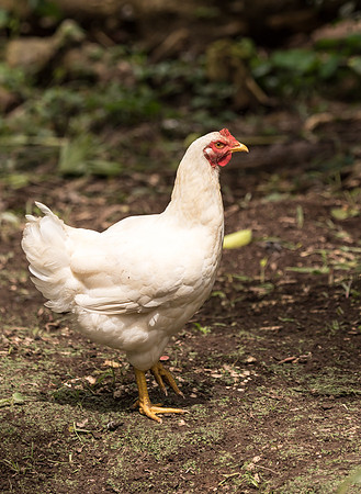 20150117_Ecuador_0001