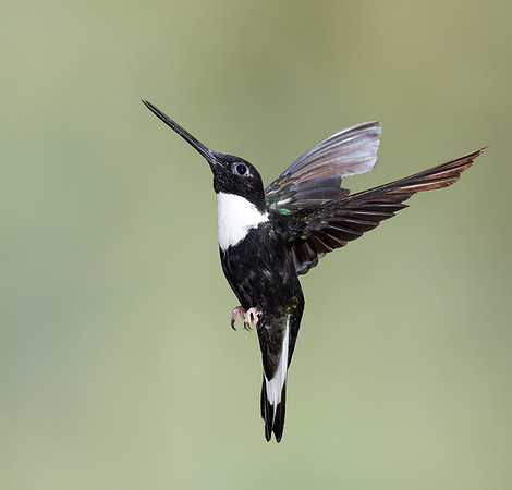 20150110_Ecuador_0018