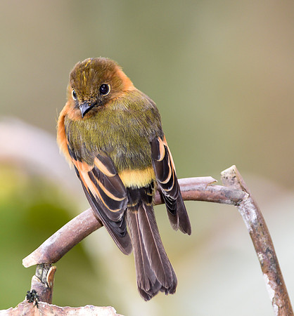 20150114_Ecuador_0021