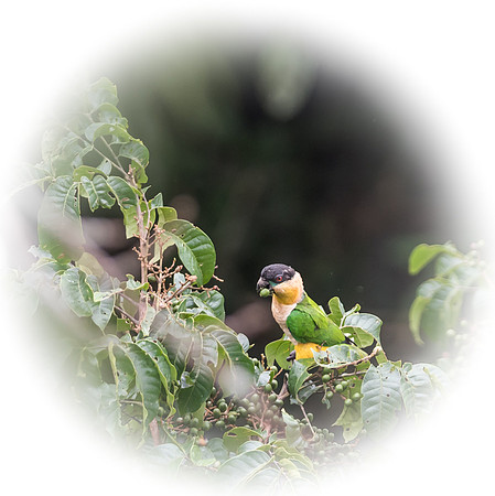 20150118_Ecuador_0017