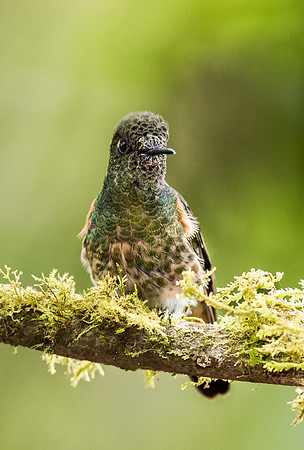20150107_Ecuador_0002