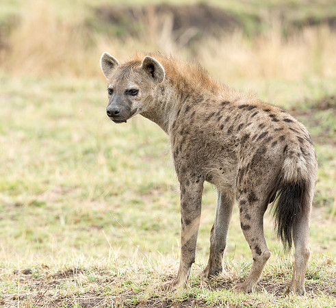 20130918_Kenya_0004