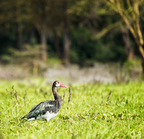 20130912_Kenya_0033