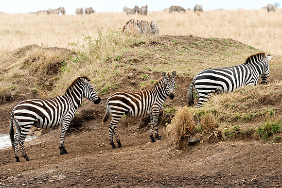 20130918_Kenya_0011