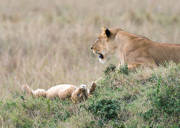 20130919_Kenya_0082