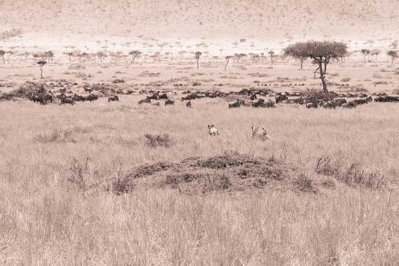20130919_Kenya_0021