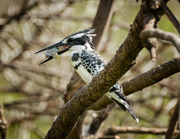 20130912_Kenya_0031