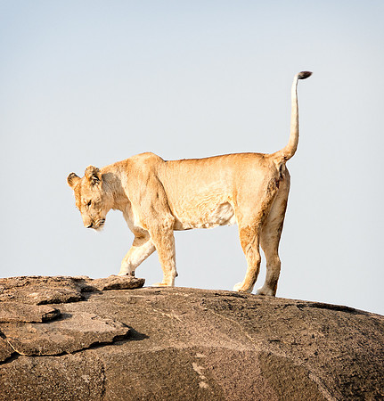 20130917_Kenya_0068