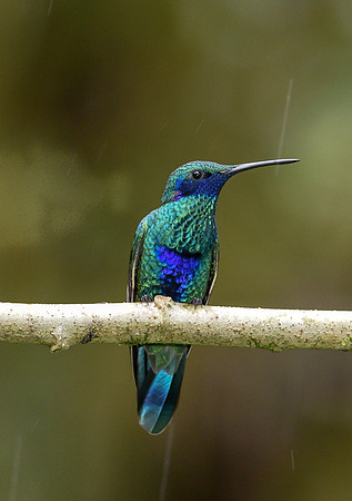 20150114_Ecuador_0027