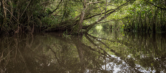 20150118_Ecuador_0001