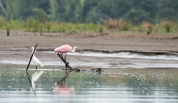 20150117_Ecuador_0011