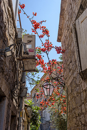 20150529_Croatia_0012