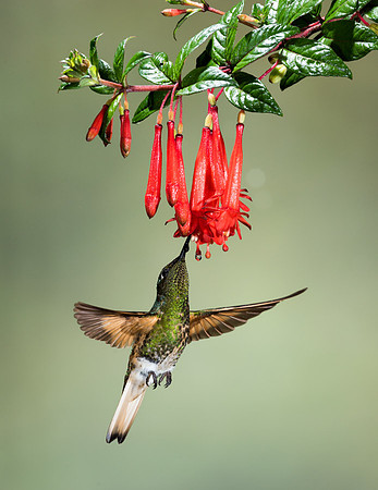 20150110_Ecuador_0020