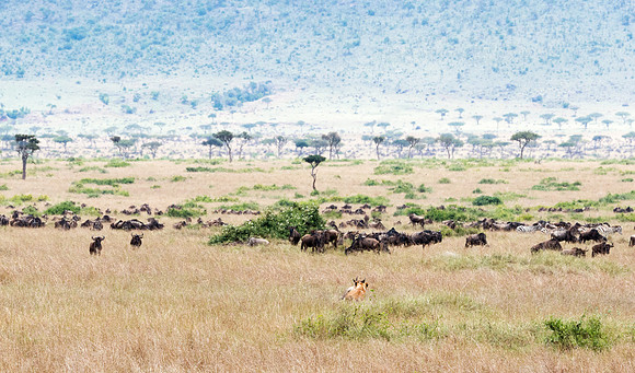 20130919_Kenya_0027