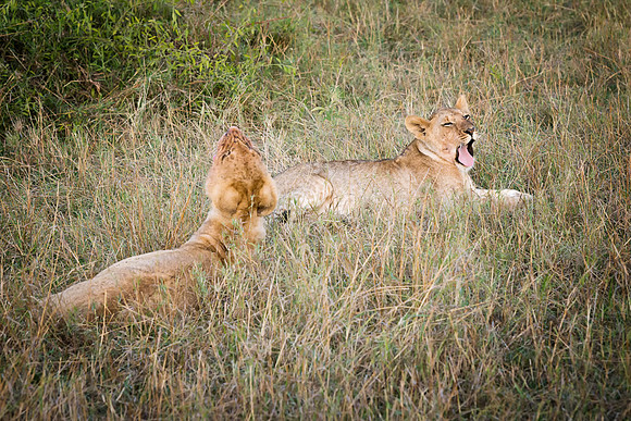 20130913_Kenya_0019-4