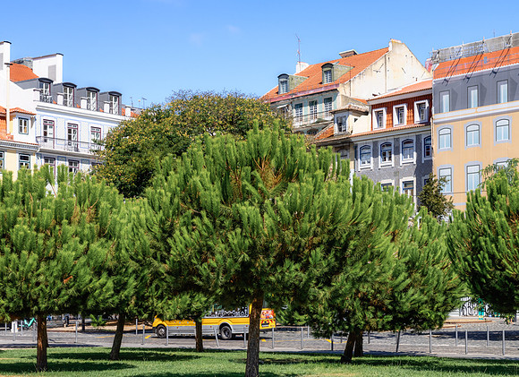 Street in Lisbon