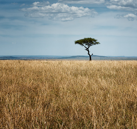 20130913_Kenya_0019