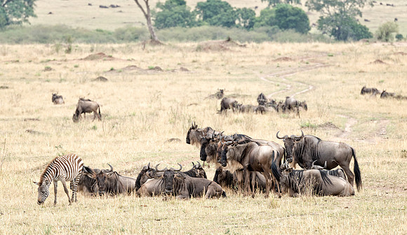 20130918_Kenya_0003