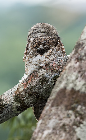 20150116_Ecuador_0001