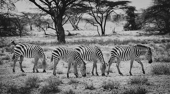 20130909_Kenya_0010-2