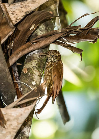 20150108_Ecuador_0020