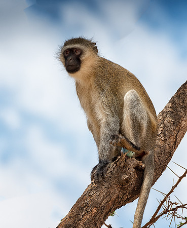 20130909_Kenya_0024