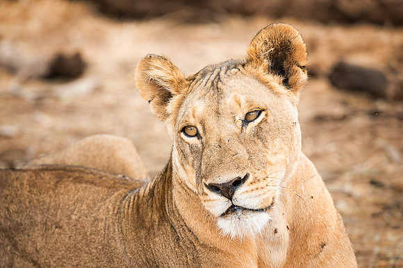 20130909_Kenya_0017-2