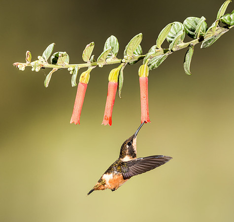 20150106_Ecuador_0004