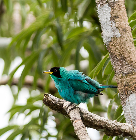 20150118_Ecuador_0019