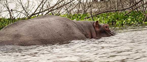 20130912_Kenya_0021