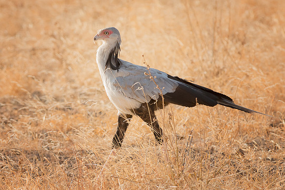 20130908_Kenya_0002